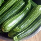 30 Italian Heirloom Courgette Cocozelle Summer Squash Vegetable Seeds
