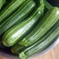 30 Italian Heirloom Courgette Cocozelle Summer Squash Vegetable Seeds
