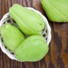 2 Mirliton Chayote Pear Squash Sechium Whole Seed Fruits