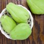 2 Mirliton Chayote Pear Squash Sechium Whole Seed Fruits