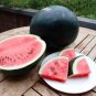 20 Heirloom Sugar Baby Ice Box Watermelon Citrullus Seeds