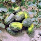 25 Spanish Heirloom Christmas Melon Santa Claus Melon Cucumis Seeds