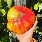 25 Heirloom Tomato Old German Organic Seeds