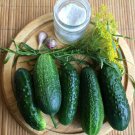 25 Boston Pickling Cucumber Cucumis Seeds