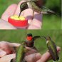 Handheld Hummingbird Nectar Hand Feeder Kit