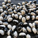 50 Heirloom Black and White Orca Bush Bean Seeds