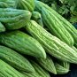 8  Bitter Melon Organic Momordica Seeds
