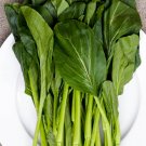 100 Choy Sum Asian Leaf Organic Vegetable Brassica Seeds