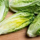 300 Romaine Lettuce Parris Isle Seeds