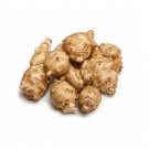 5 Tubers US Native Jerusalem Artichoke Potato Sunchoke Helianthus tuberosus