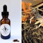 Fynbos Seed Smoke Primer Concentrated Liquid Seed Germination Aid - 30ml
