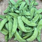 20 Organic Oregon Sugar Pod Snow Pea Seeds