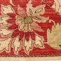 High Quality Hand Made Vegetable Dyed Peshawar Oriental Chobi Rug 10x8 i70705