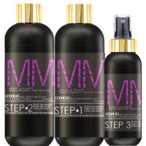 Beauty 4 Ashes GodHead Max Moisture and Gro System