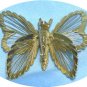 *Vintage Monet Goldtoned Wire Butterfly Brooch: Delicate Beauty to Perch on Your Shoulder!