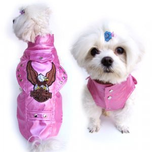 Pink Motorcycle jacket XL