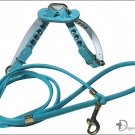 Turquoise leash