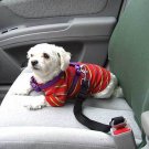 Adjustable Car Restraint