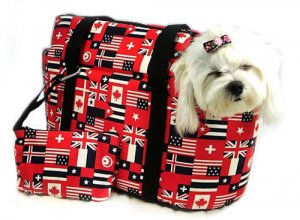 Flag Carrier