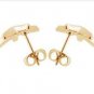 Golden Star Stud Earrings