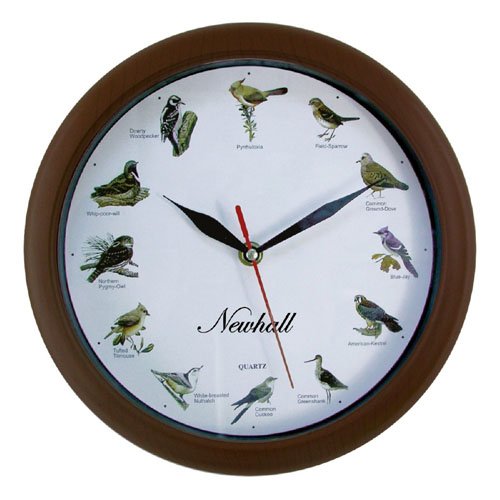 Часы пение птиц. Часы с пением птиц настенные. Часы настенные "птица". Часы птичьи трели. Часы настенные экран пение птиц.
