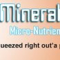 Organic Micro Nutrient Supplement Fertilizer 1 Qt