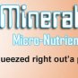 Organic Micro Nutrient Supplement Fertilizer 1 GL