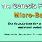 Green Air Micro-Base B Nutrient Plant Growth Vegetable Fertilizer 2.5 GL