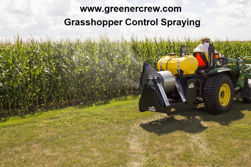 Mist Sprayer Blower 3Point 40150 Gallon