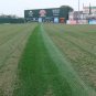 60" Verticutter Thatch Master TM-6000