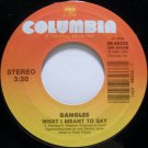 Bangles - Eternal Flame/What I Meant To Say (38-68533)