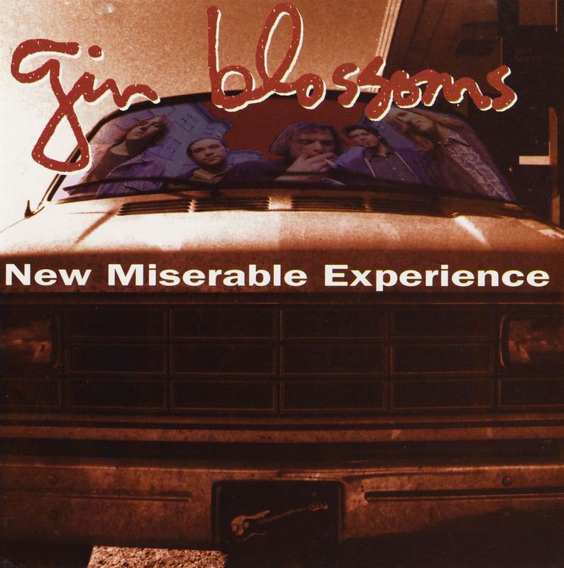 Miserable перевод. New miserable experience the Gin Blossoms.