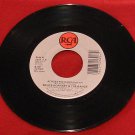 Bruce Hornsby Across The River / Fire On The Cross - 7"