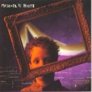 Michael W Smith - The Big Picture Cassette