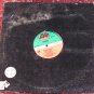 INXS - Bitter Tears Single LP - Vinyl Record