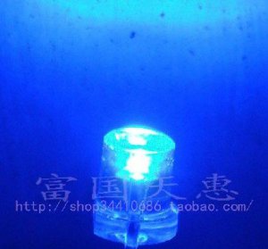 500 pcs 3mm super bright Crew cut astigmia white to blue LED light-emitting diode (LED)  ROHS