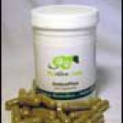 Petalive Detoxplus - Natural Formula To Rid Toxins In Pets