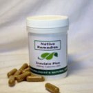 Insulate Plus (60 caps) - Natural Remedy for Healthy Living and Diabetes