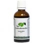 Native Remedies - JuniorSlim for Child and Teen Weightloss