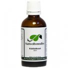 Native Remedies - KiddieBoost for Child's Immune Health
