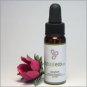 MindStill Flower Essence