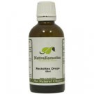 RectoRex Drops Promote strength & circulation of veins and hemorroid relief