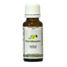 VertiFree Homeopathic remedy temporarily supports inner ear balance, relieves dizziness & nausea