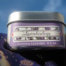 Culinary Lavender