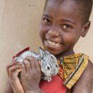 World Vision Gift of 1 Rabbit