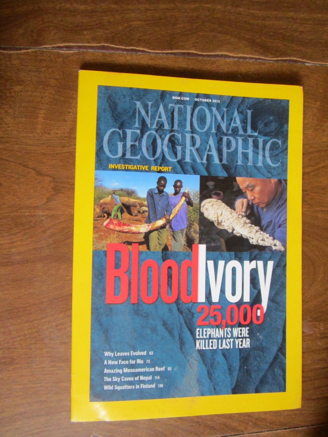 national geographic vol 222 no 4 october 2012 blood ivory 25 000 elephants killed last year g3 4 national geographic vol 222 no 4 october 2012 blood ivory 25 000 elephants killed last year g3 4