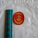 BSA Boy Scouts of  America Vintage Life Patch 2 1/2" tall x 2" wide (SD2)