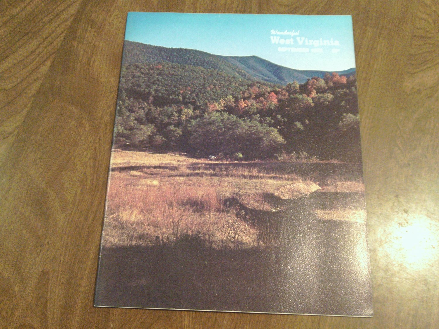 Wonderful West Virginia Magazine Sept 1978 Vol 42 No 7 Bluestone ...