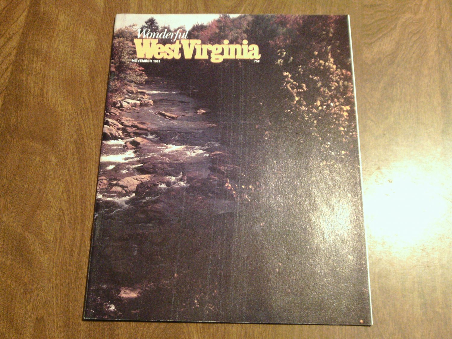 Wonderful West Virginia Magazine Nov 1981 Vol 45 No 9 New River Gorge, Jewelweed, Harpers Ferry (C1)