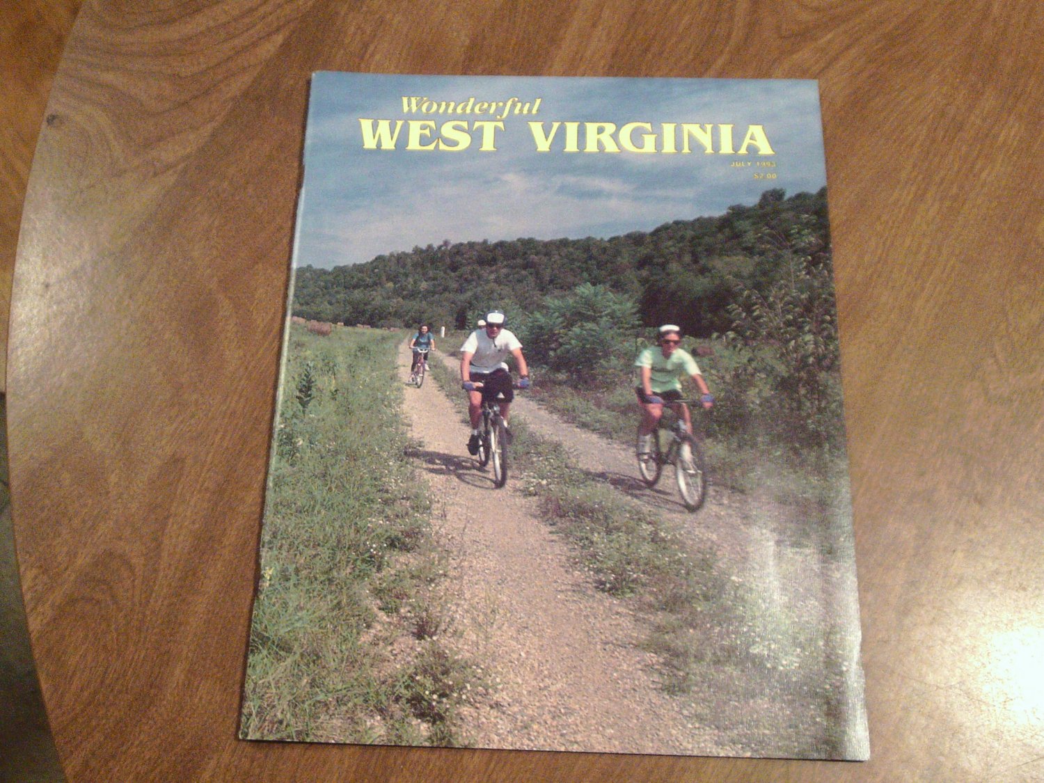 Wonderful West Virginia July 1993 Volume 57 No. 5 Fishwatching, Joe-Pye Weed, Sparrow Hawk (C3)
